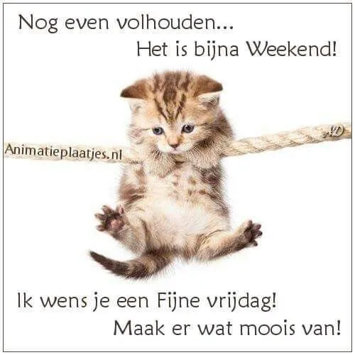 ᐅ goedemorgen vrijdag humor - Vrijdag plaatjes ᐅ goedemorgen vrijdag humor - Vrijdag plaatjes