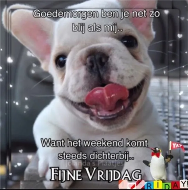 ᐅ goedemorgen vrijdag humor - Vrijdag plaatjes ᐅ goedemorgen vrijdag humor - Vrijdag plaatjes