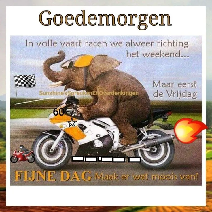 ᐅ goedemorgen vrijdag humor - Vrijdag plaatjes ᐅ goedemorgen vrijdag humor - Vrijdag plaatjes