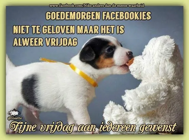 ᐅ goedemorgen vrijdag humor - Vrijdag plaatjes ᐅ goedemorgen vrijdag humor - Vrijdag plaatjes