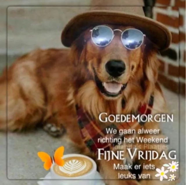 ᐅ goedemorgen vrijdag humor - Vrijdag plaatjes ᐅ goedemorgen vrijdag humor - Vrijdag plaatjes