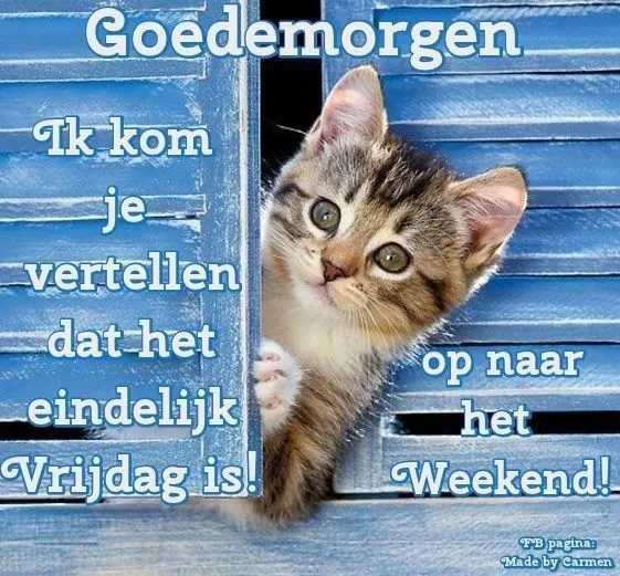 ᐅ goedemorgen vrijdag humor - Vrijdag plaatjes ᐅ goedemorgen vrijdag humor - Vrijdag plaatjes
