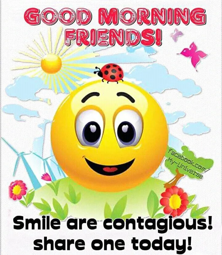 ᐅ goedemorgen vrijdag humor - Vrijdag plaatjes ᐅ goedemorgen vrijdag humor - Vrijdag plaatjes