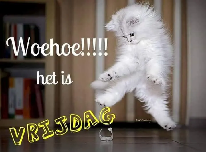 ᐅ goedemorgen vrijdag humor - Vrijdag plaatjes