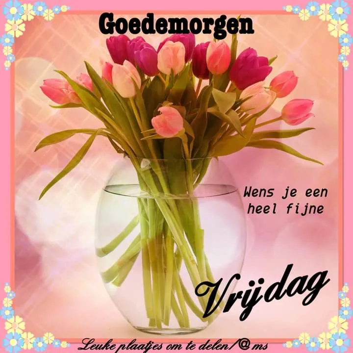 ᐅ goedemorgen wensen - Goedemorgen plaatjes Een vaas met kleurrijke tulpen op een roze achtergrond. Tekst: "Goedemorgen Vrijdag".