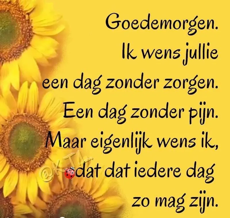 ᐅ goedemorgen wensen - Goedemorgen plaatjes Tekst met zonnebloemen: "Goedemorgen. Een dag zonder zorgen en pijn. Iedere dag zo."