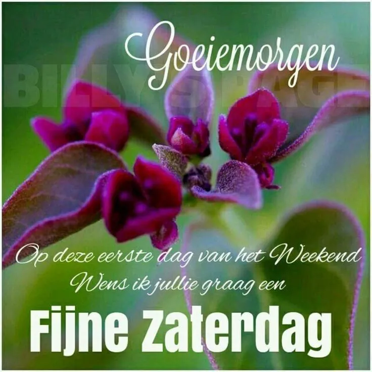 ᐅ goedemorgen wensen - Goedemorgen plaatjes Natuurafbeelding met tekst: "Goedemorgen, fijne zaterdag!" op een bloemenachtergrond.