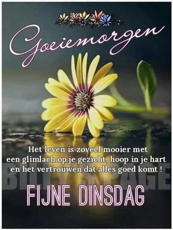 ᐅ goedemorgen wensen - Goedemorgen plaatjes Korte boodschap met een bloem en de tekst "Fijne dinsdag". Positieve start van de dag.