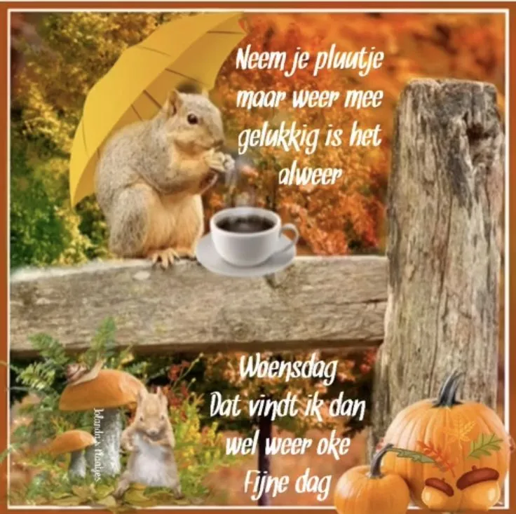 ᐅ goedemorgen winter - Maandag plaatjes