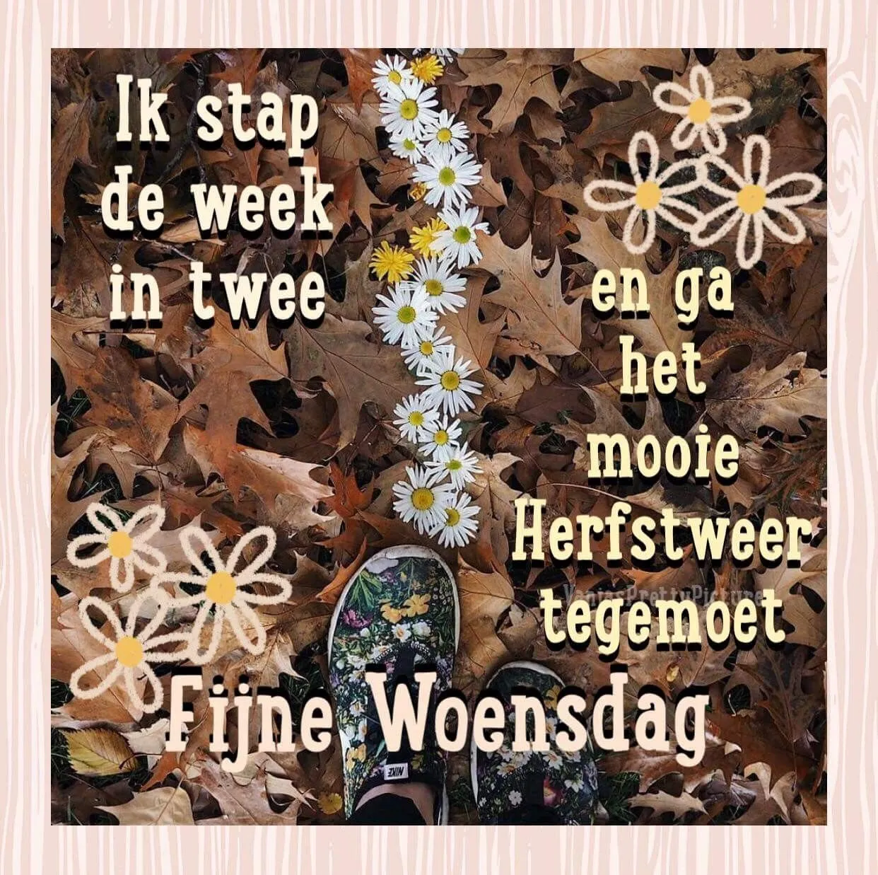 ᐅ goedemorgen winter - Maandag plaatjes