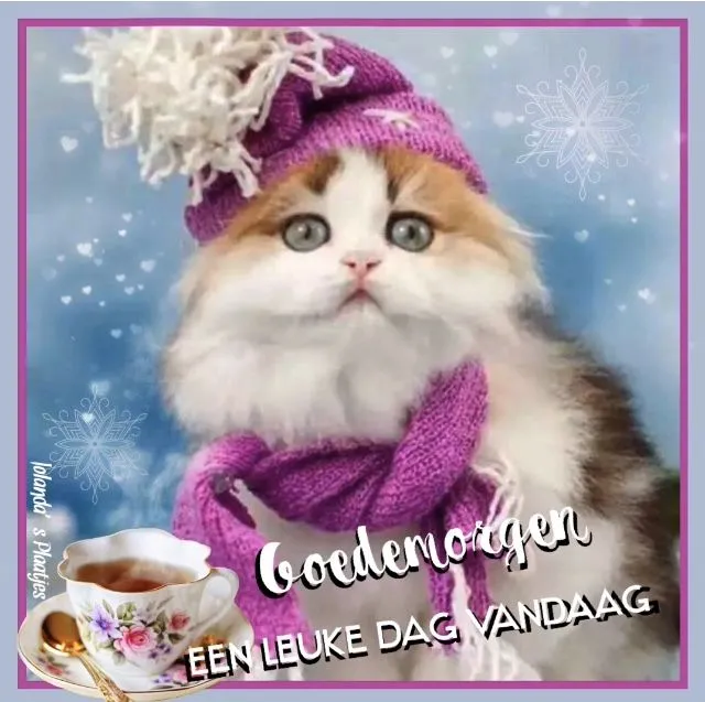 ᐅ goedemorgen winter - Maandag plaatjes