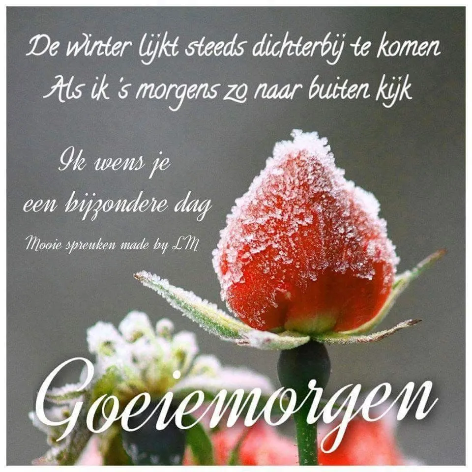 ᐅ goedemorgen winter - Maandag plaatjes