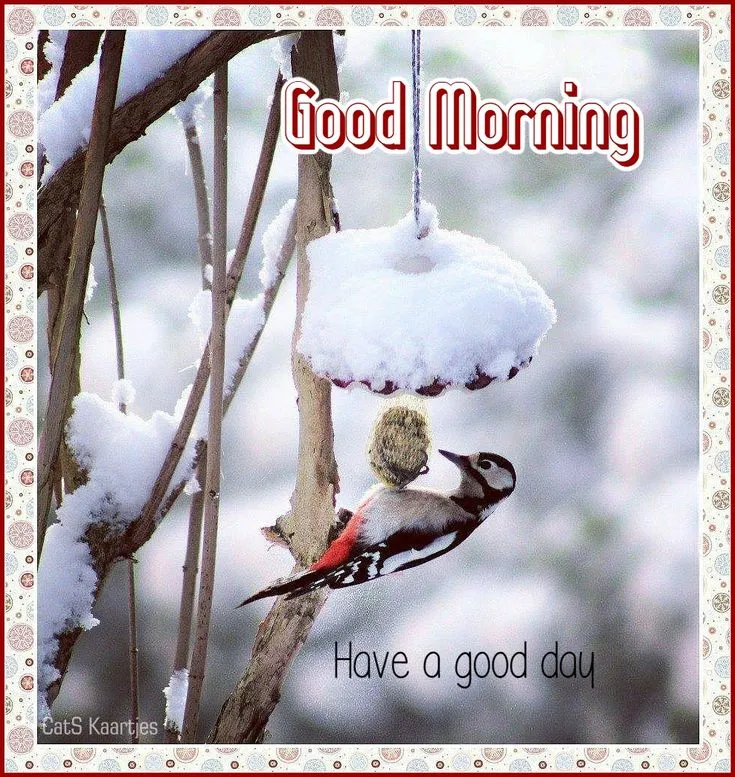 ᐅ goedemorgen winter - Maandag plaatjes