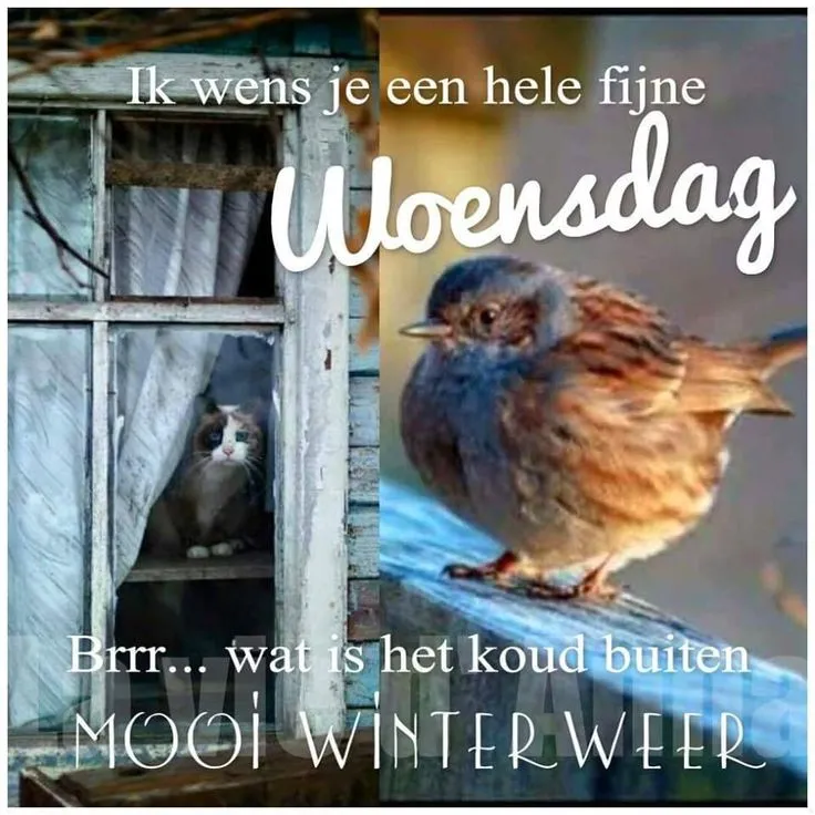 ᐅ goedemorgen winter - Maandag plaatjes