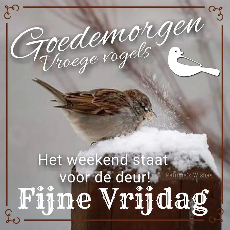 ᐅ goedemorgen winter - Maandag plaatjes