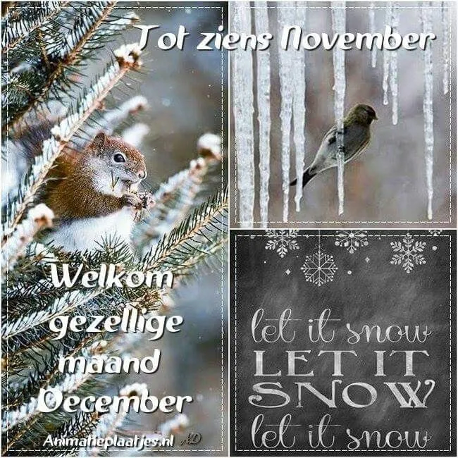 ᐅ goedemorgen winter - Maandag plaatjes