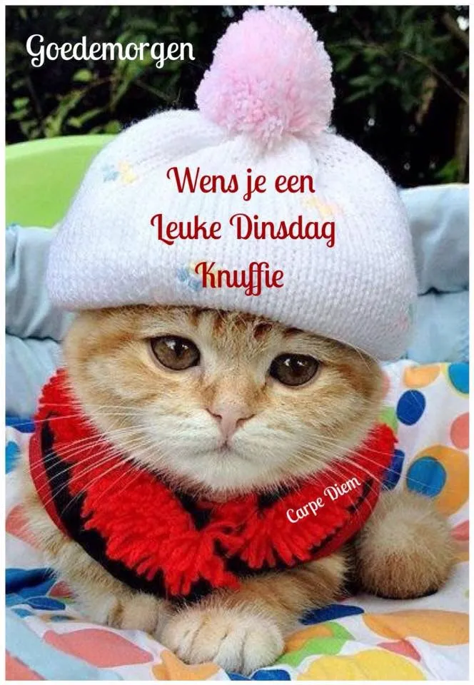 ᐅ goedemorgen winter - Maandag plaatjes