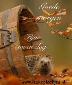 goedemorgen woensdag herfst