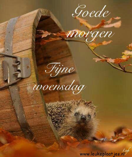 ᐅ goedemorgen woensdag herfst - Woensdag plaatjes