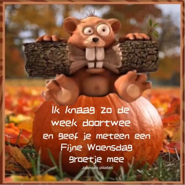 ᐅ goedemorgen woensdag herfst - Woensdag plaatjes ᐅ goedemorgen woensdag herfst - Woensdag plaatjes