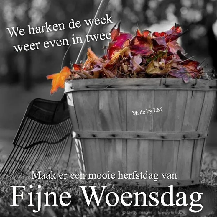 ᐅ goedemorgen woensdag herfst - Woensdag plaatjes ᐅ goedemorgen woensdag herfst - Woensdag plaatjes