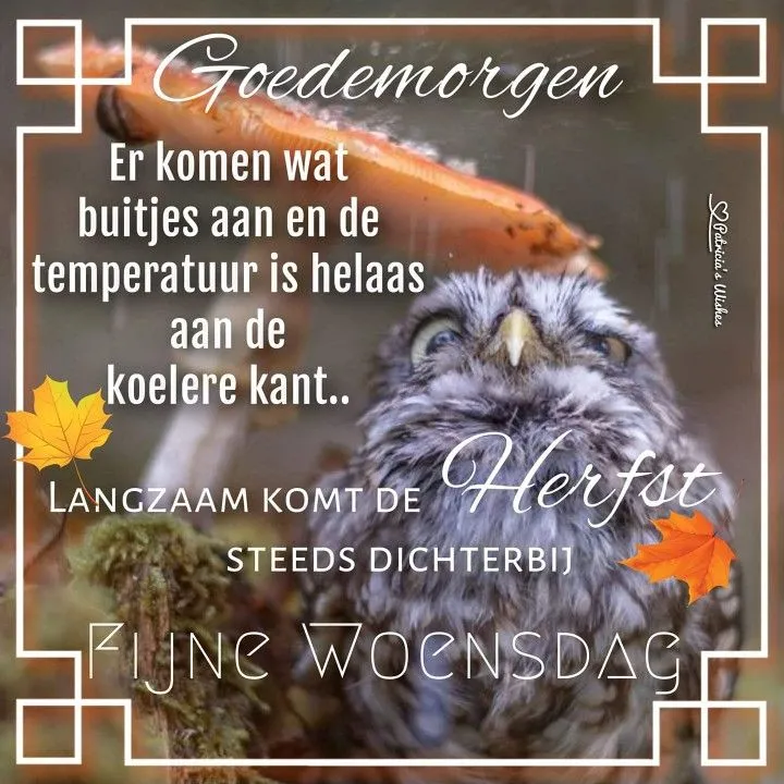 ᐅ goedemorgen woensdag herfst - Woensdag plaatjes ᐅ goedemorgen woensdag herfst - Woensdag plaatjes