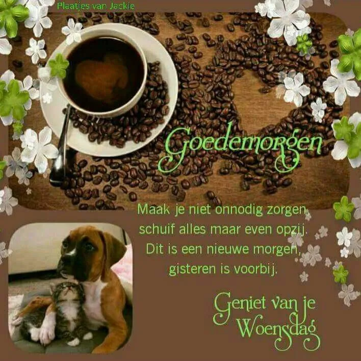 ᐅ goedemorgen woensdag herfst - Woensdag plaatjes ᐅ goedemorgen woensdag herfst - Woensdag plaatjes
