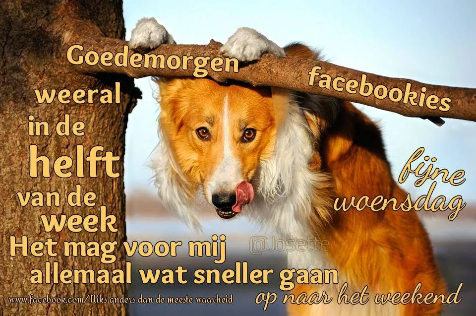 ᐅ goedemorgen woensdag herfst - Woensdag plaatjes ᐅ goedemorgen woensdag herfst - Woensdag plaatjes
