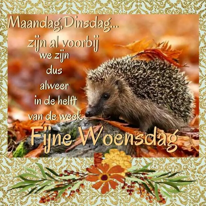ᐅ goedemorgen woensdag herfst - Woensdag plaatjes ᐅ goedemorgen woensdag herfst - Woensdag plaatjes