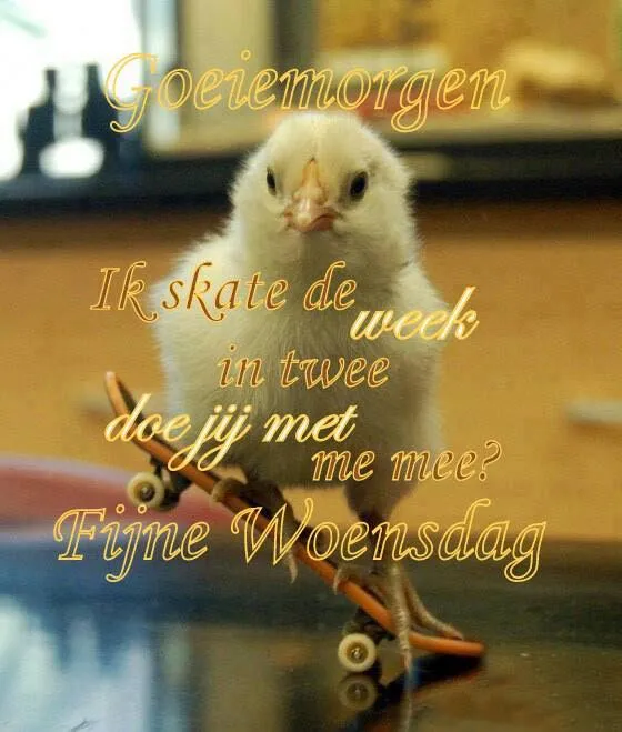 ᐅ goedemorgen woensdag herfst - Woensdag plaatjes ᐅ goedemorgen woensdag herfst - Woensdag plaatjes