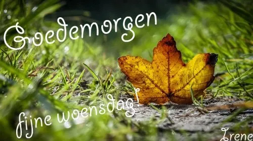 ᐅ goedemorgen woensdag herfst - Woensdag plaatjes ᐅ goedemorgen woensdag herfst - Woensdag plaatjes