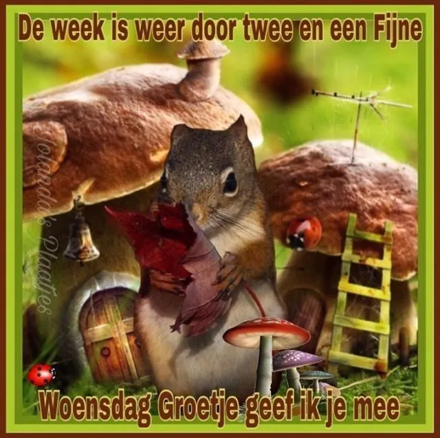 ᐅ goedemorgen woensdag herfst - Woensdag plaatjes ᐅ goedemorgen woensdag herfst - Woensdag plaatjes