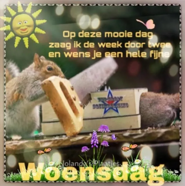ᐅ goedemorgen woensdag herfst - Woensdag plaatjes ᐅ goedemorgen woensdag herfst - Woensdag plaatjes