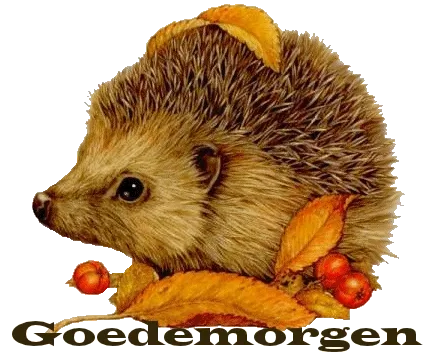 ᐅ goedemorgen woensdag herfst - Woensdag plaatjes ᐅ goedemorgen woensdag herfst - Woensdag plaatjes