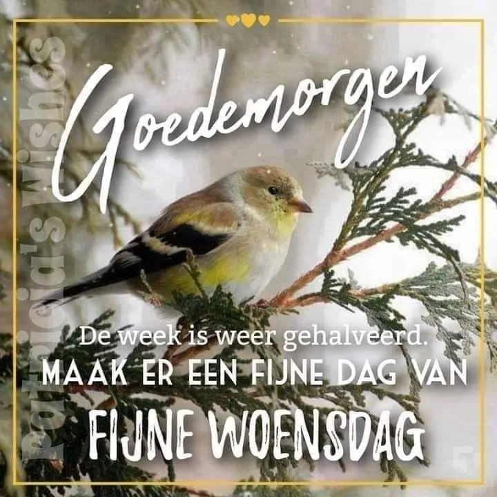 ᐅ goedemorgen woensdag herfst - Woensdag plaatjes ᐅ goedemorgen woensdag herfst - Woensdag plaatjes
