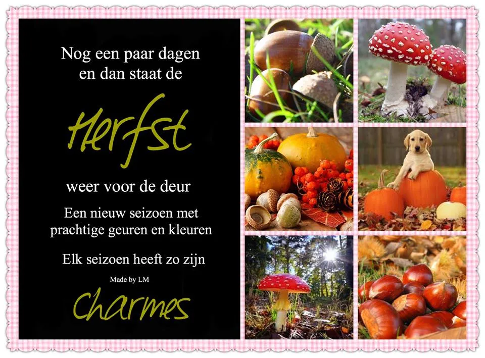 ᐅ goedemorgen woensdag herfst - Woensdag plaatjes ᐅ goedemorgen woensdag herfst - Woensdag plaatjes