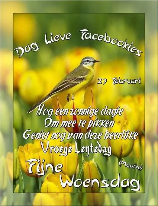 ᐅ goedemorgen woensdag herfst - Woensdag plaatjes ᐅ goedemorgen woensdag herfst - Woensdag plaatjes