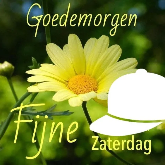 ᐅ goedemorgen zaterdag - Zaterdag plaatjes