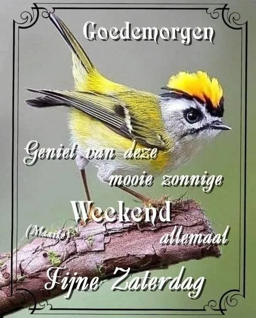 ᐅ goedemorgen zaterdag - Zaterdag plaatjes