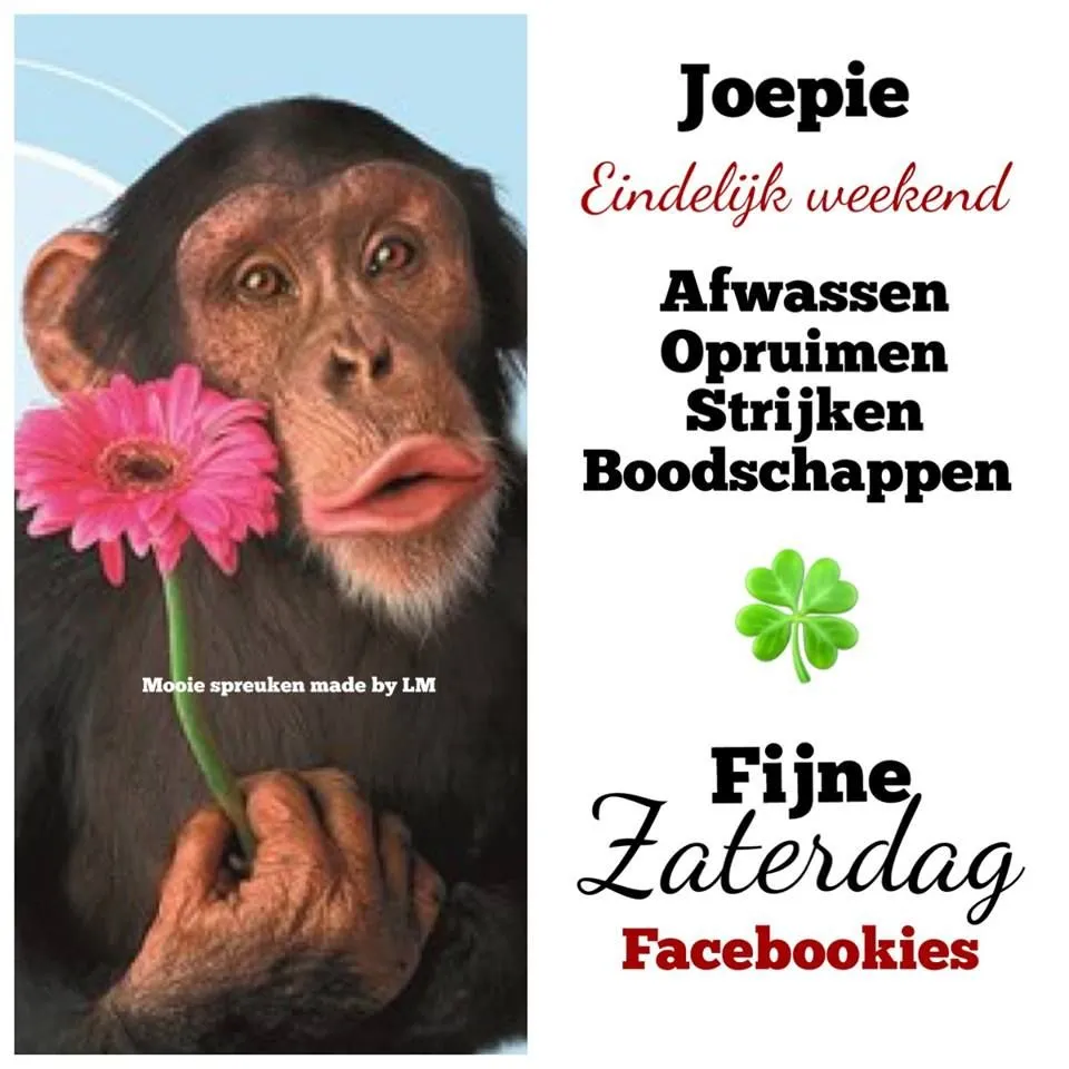 ᐅ goedemorgen zaterdag humor - Zaterdag plaatjes ᐅ goedemorgen zaterdag humor - Zaterdag plaatjes