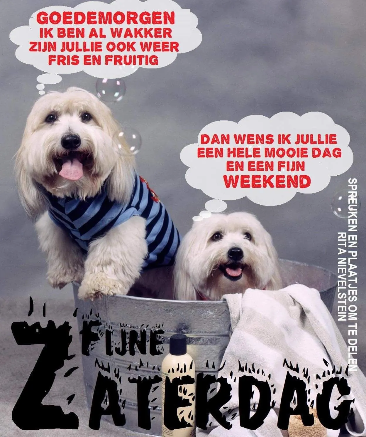 ᐅ goedemorgen zaterdag humor - Zaterdag plaatjes ᐅ goedemorgen zaterdag humor - Zaterdag plaatjes