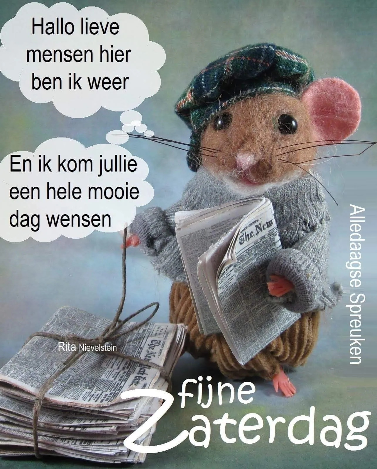 ᐅ goedemorgen zaterdag humor - Zaterdag plaatjes ᐅ goedemorgen zaterdag humor - Zaterdag plaatjes