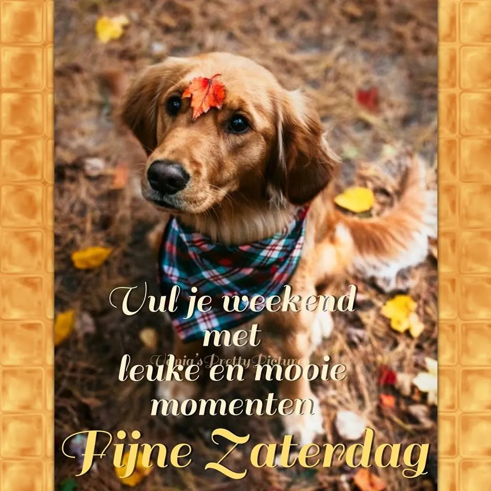 ᐅ goedemorgen zaterdag humor - Zaterdag plaatjes ᐅ goedemorgen zaterdag humor - Zaterdag plaatjes