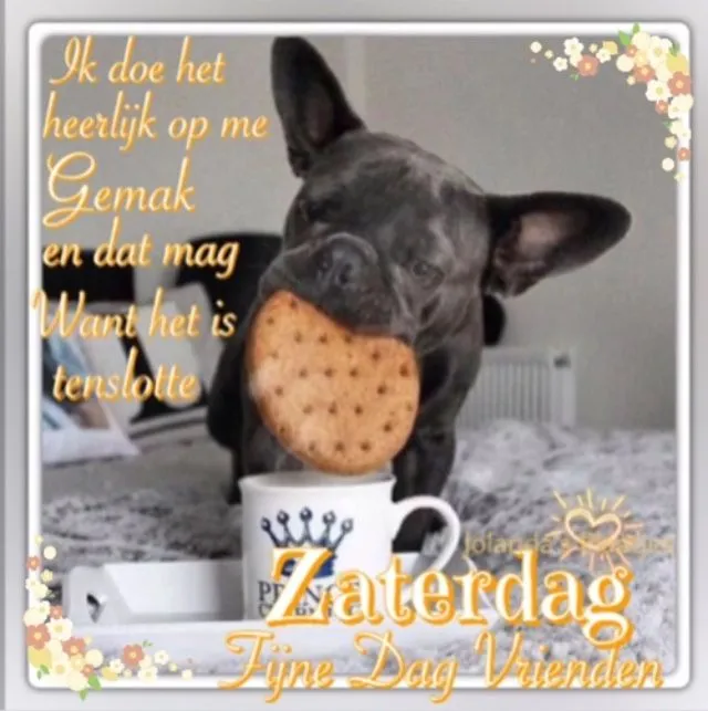 ᐅ goedemorgen zaterdag humor - Zaterdag plaatjes ᐅ goedemorgen zaterdag humor - Zaterdag plaatjes