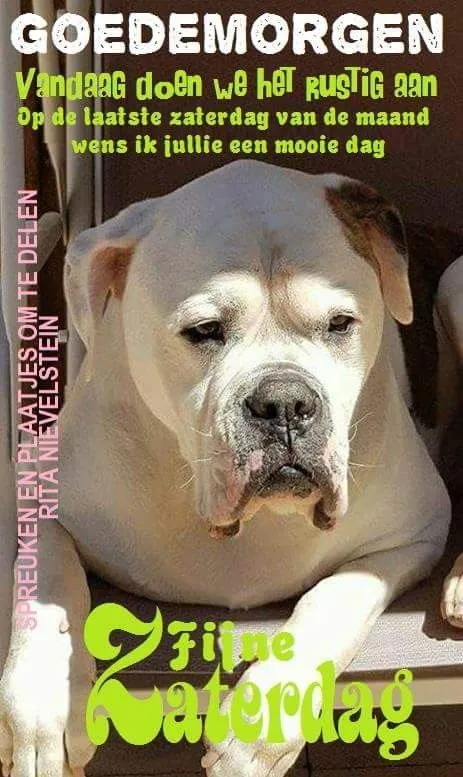 ᐅ goedemorgen zaterdag humor - Zaterdag plaatjes ᐅ goedemorgen zaterdag humor - Zaterdag plaatjes