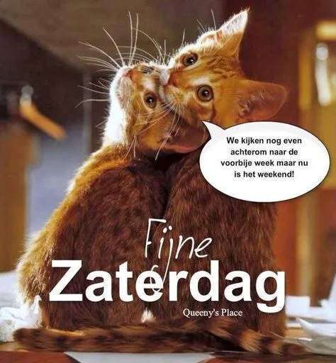 ᐅ goedemorgen zaterdag humor - Zaterdag plaatjes ᐅ goedemorgen zaterdag humor - Zaterdag plaatjes