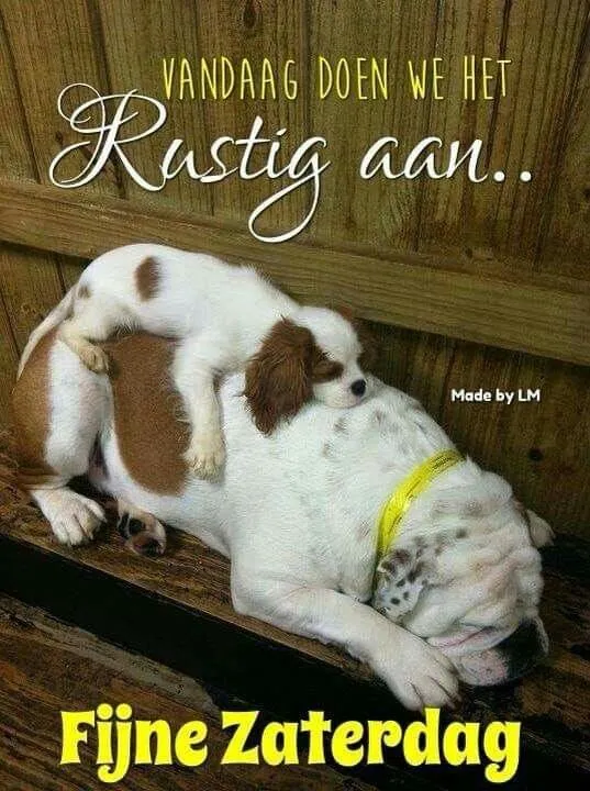 ᐅ goedemorgen zaterdag humor - Zaterdag plaatjes ᐅ goedemorgen zaterdag humor - Zaterdag plaatjes