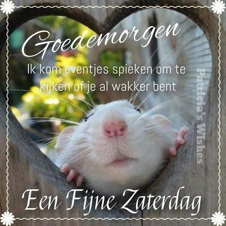 ᐅ goedemorgen zaterdag humor - Zaterdag plaatjes ᐅ goedemorgen zaterdag humor - Zaterdag plaatjes