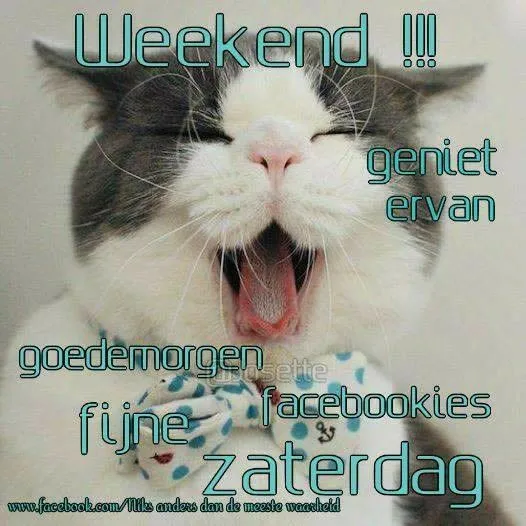 ᐅ goedemorgen zaterdag humor - Zaterdag plaatjes ᐅ goedemorgen zaterdag humor - Zaterdag plaatjes