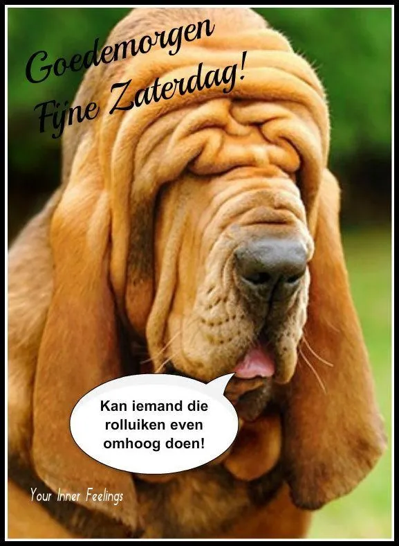 ᐅ goedemorgen zaterdag humor - Zaterdag plaatjes ᐅ goedemorgen zaterdag humor - Zaterdag plaatjes